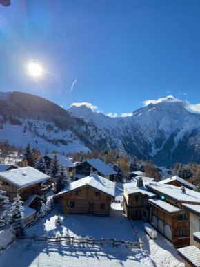 STUDIO 2 ALPES STYLE CHALET au PIED DE TELESIEGE DU DIABLE